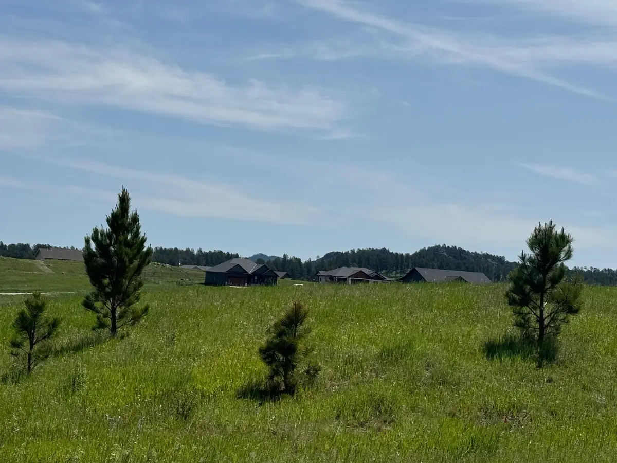 Lot 27, BL 1 Park Avenue, Custer, SD 57730 - #1