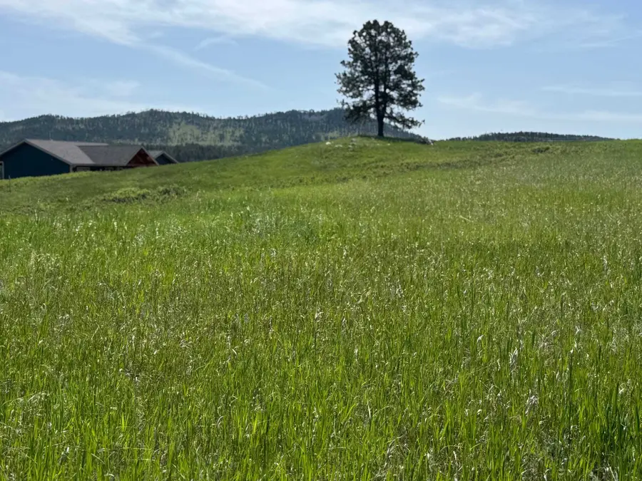 Lot 27, BL 1 Park Avenue, Custer, SD 57730 - #2
