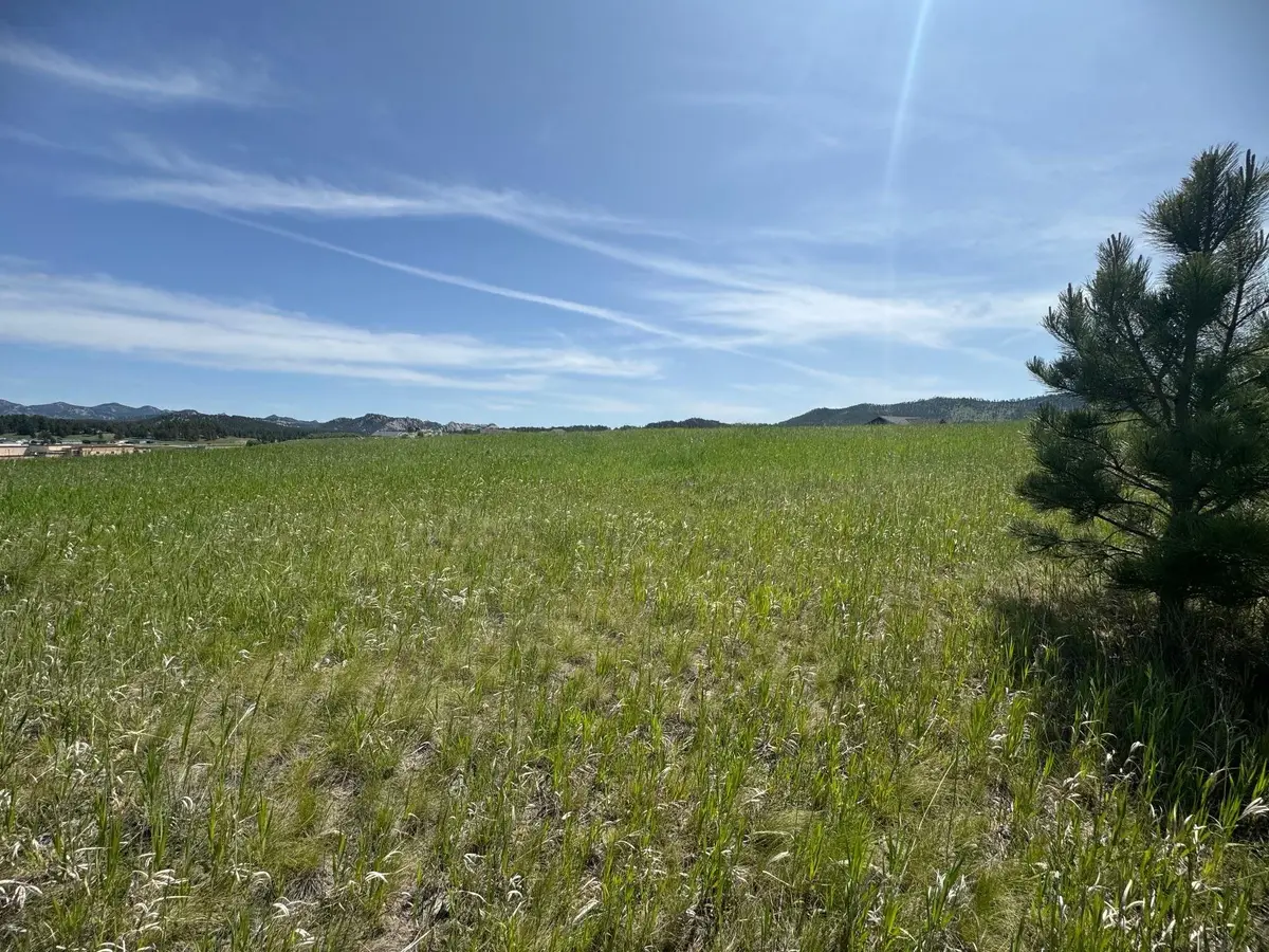 Lot 23, BLOCK 1 Park Avenue, Custer, SD 57730 - #1