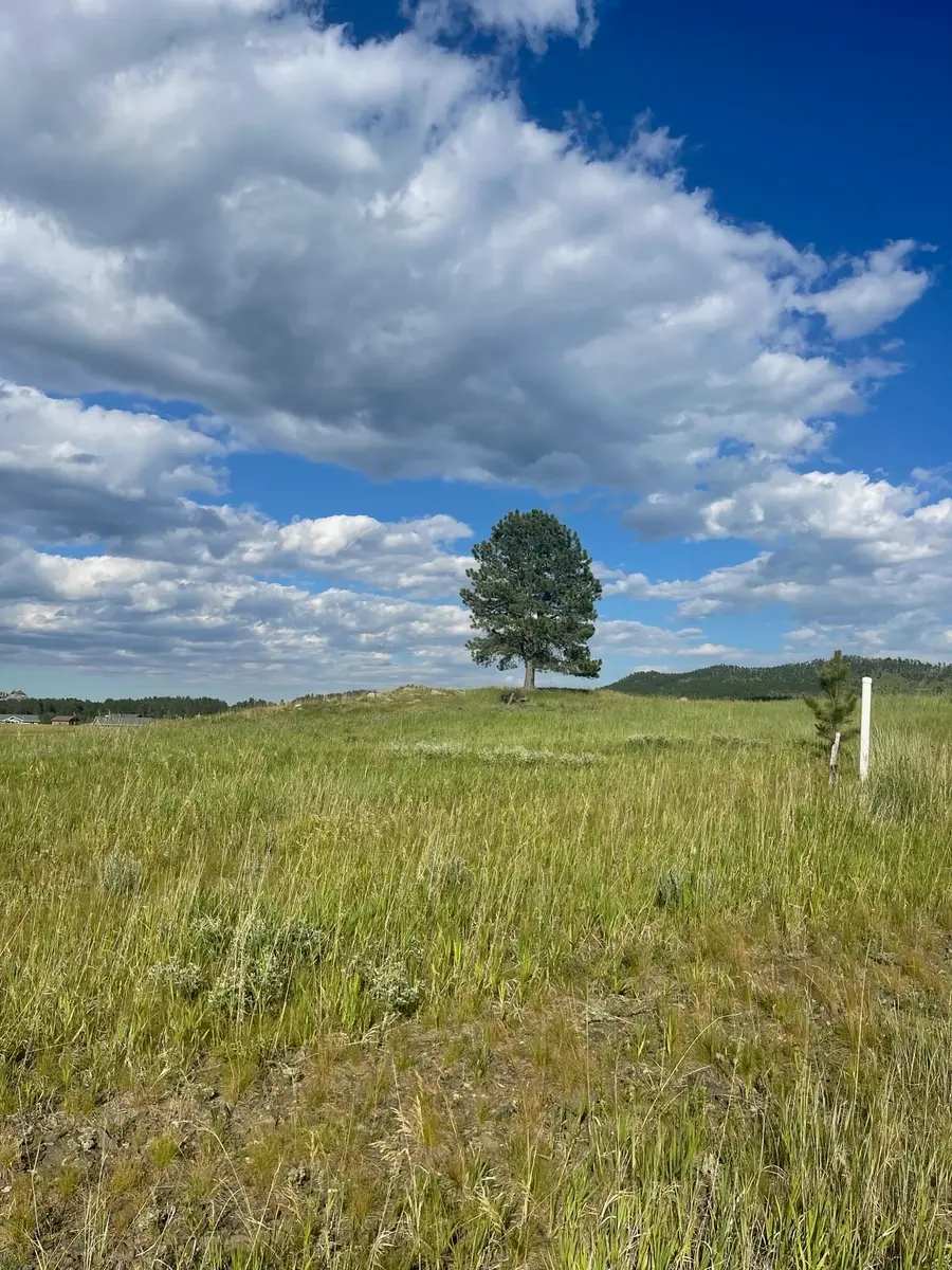 Lot 23, BLOCK 1 Park Avenue, Custer, SD 57730 - #3