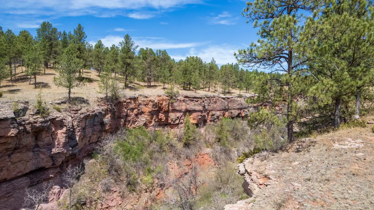 Lot 5 Saddle Ridge Road, Hermosa, SD 57744 - #1