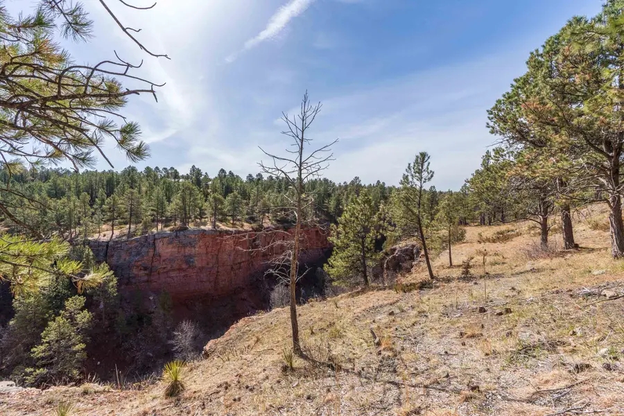 Lot 5 Saddle Ridge Road, Hermosa, SD 57744 - #2