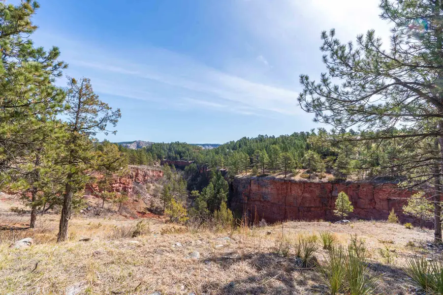 Lot 5 Saddle Ridge Road, Hermosa, SD 57744 - #3