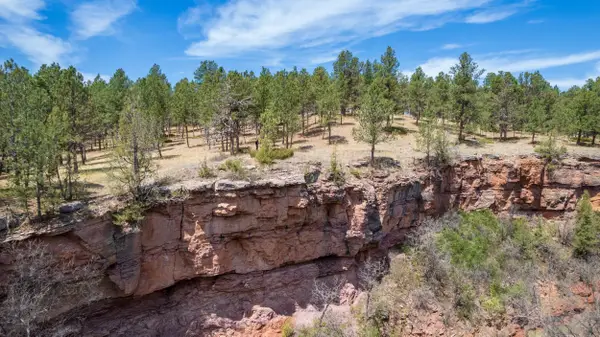 Lot 6B Saddle Ridge Road, Hermosa, SD 57744