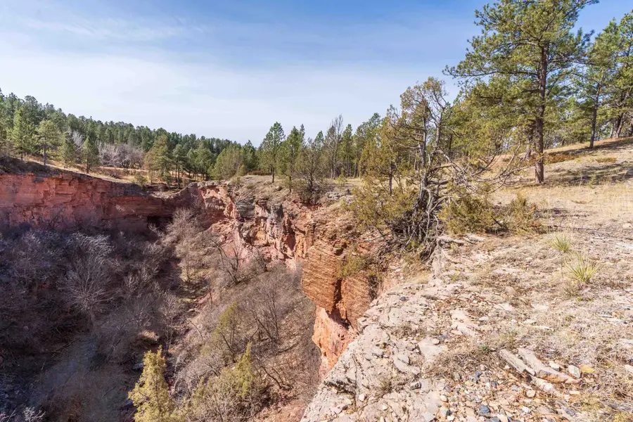 Lot 6B Saddle Ridge Road, Hermosa, SD 57744 - #2