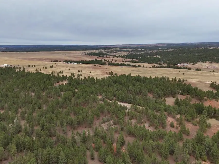 10345 Turkey Tr, Edgemont, SD 57735 - #3