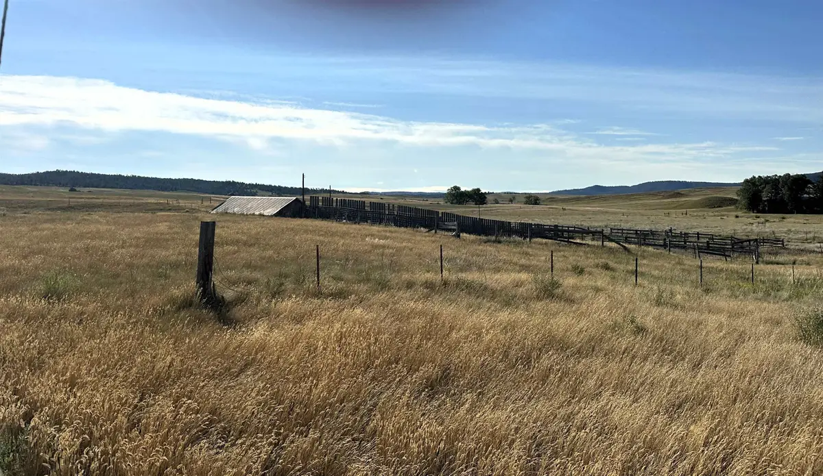 TBD Valley Road, Hot Springs, SD 57747 - #1