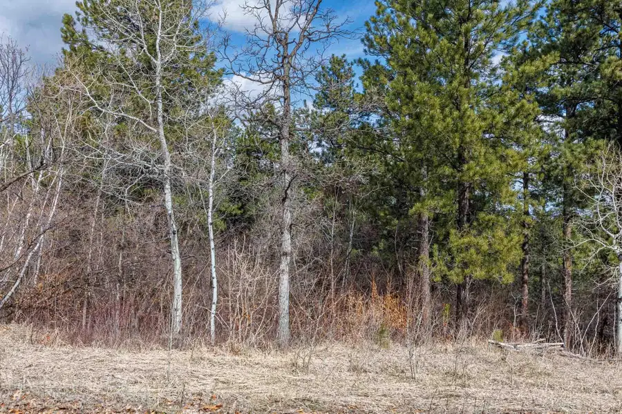 2203 Pasque Loop, Spearfish, SD 57783 - #2