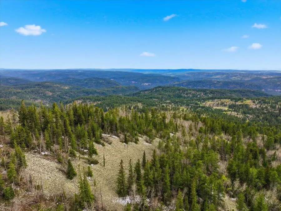 Lot 4, Lead, SD 57754 - #3