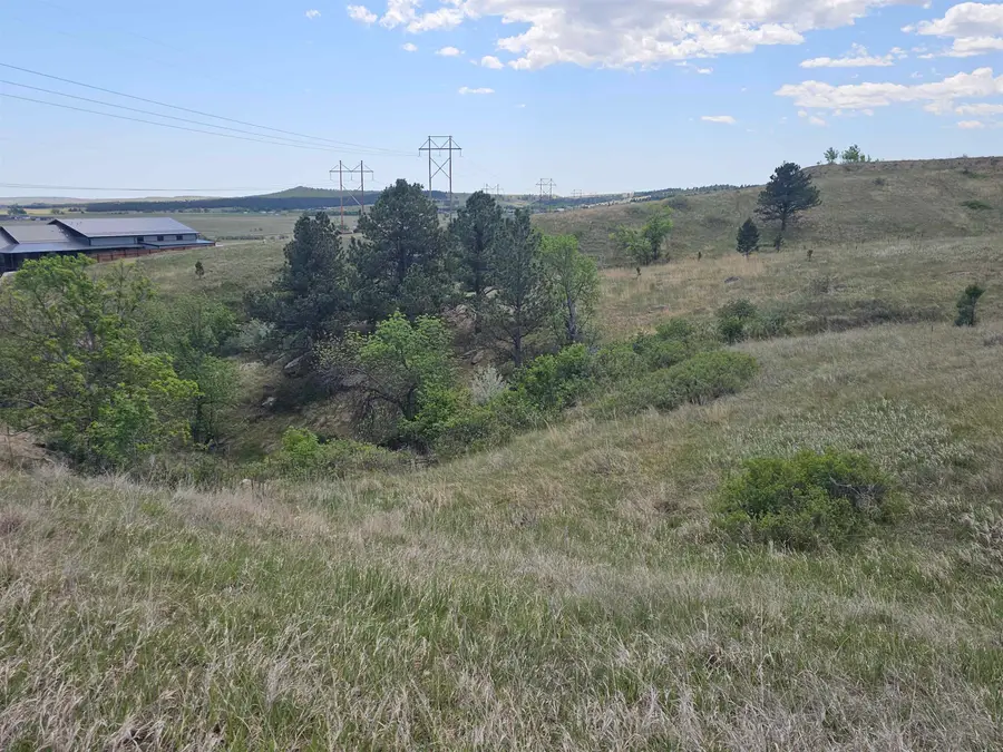 5001 Brownstone Court, Piedmont, SD 57769 - #3