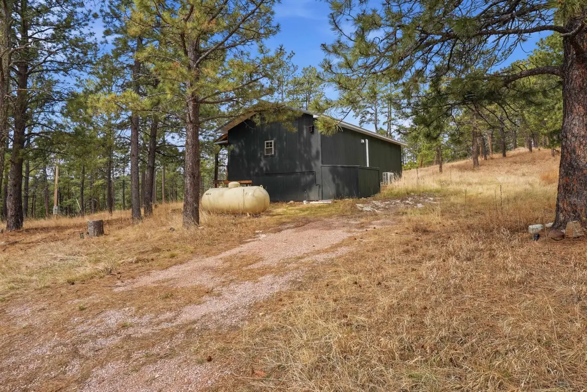24427 Thovson Road, Keystone, SD 57751 - #1