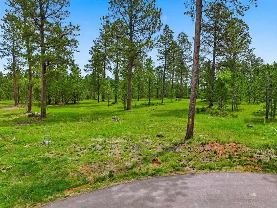 TBD Misty Moon Court, Lead, SD 57754 - #3