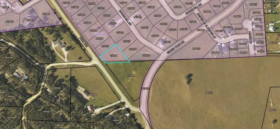 Lot 22 Block 1 Park Avenue, Custer, SD 57730 - #3