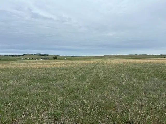 tbd Downen Road, Hermosa, SD 57744 - #1