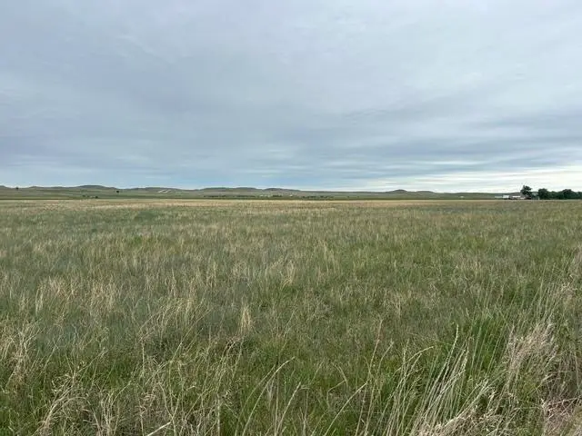 tbd Downen Road, Hermosa, SD 57744 - #2