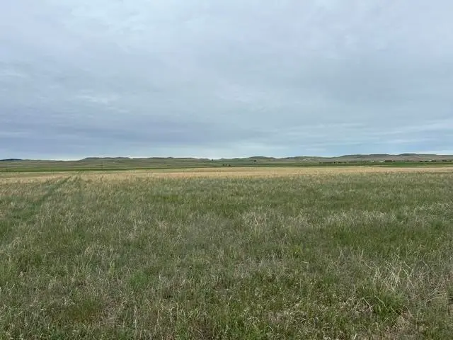 tbd Downen Road, Hermosa, SD 57744 - #1