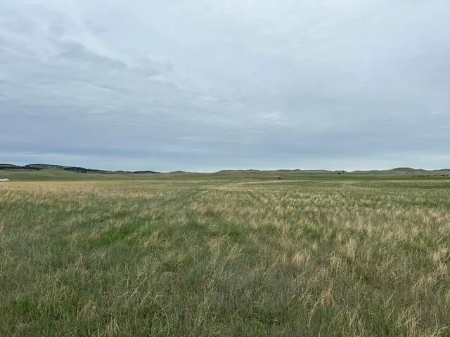 tbd Downen Road, Hermosa, SD 57744 - #3