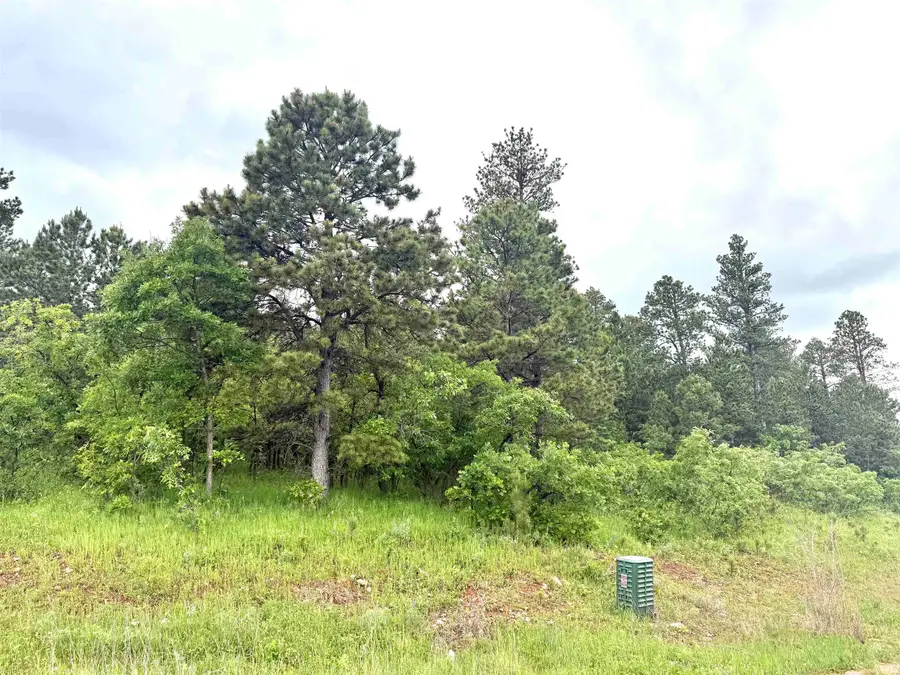 Lot 5, Blk 5 Tanager Court, Spearfish, SD 57783 - #2