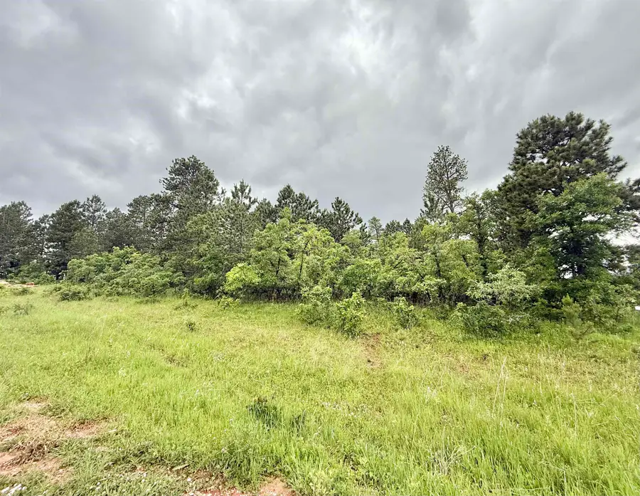 Lot 5, Blk 5 Tanager Court, Spearfish, SD 57783 - #3