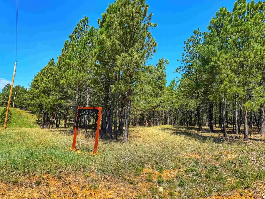 298 Remington Road, Sundance, WY 82729 - #2