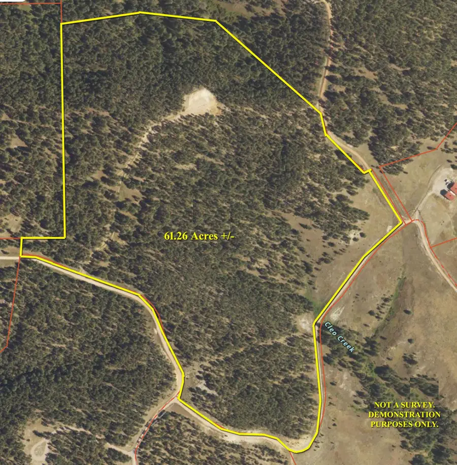 298 Remington Road, Sundance, WY 82729 - #3
