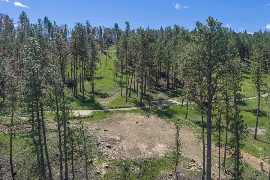 25287 Lower French Creek Road, Custer, SD 57730 - #3