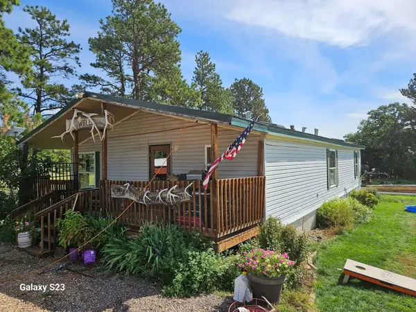 21113 Brimstone Place, Sturgis, SD 57785