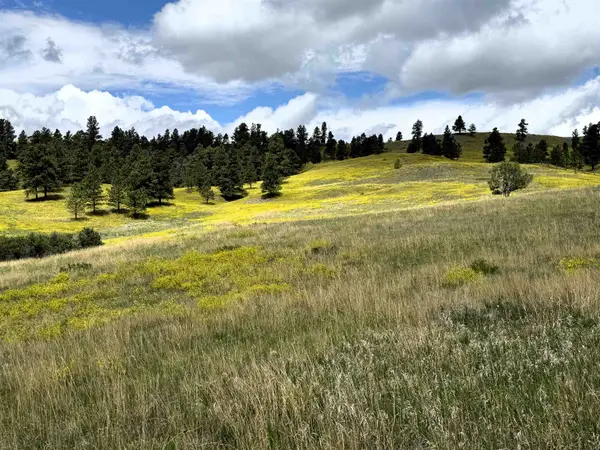 TBD Tower Ridge Rd, Devils Tower, WY 82714