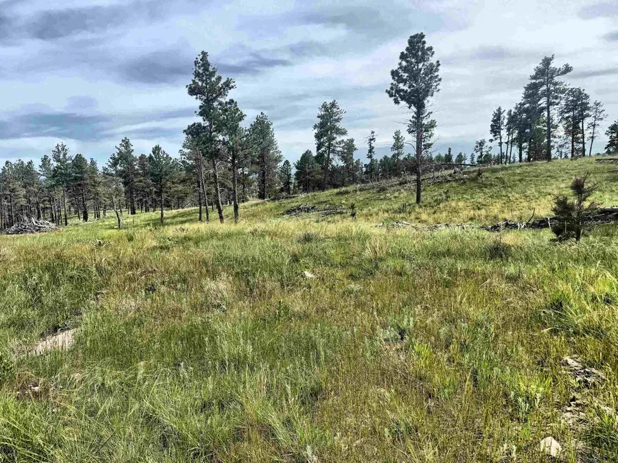 TBD Jenny Road, Hot Springs, SD 57747 - #2