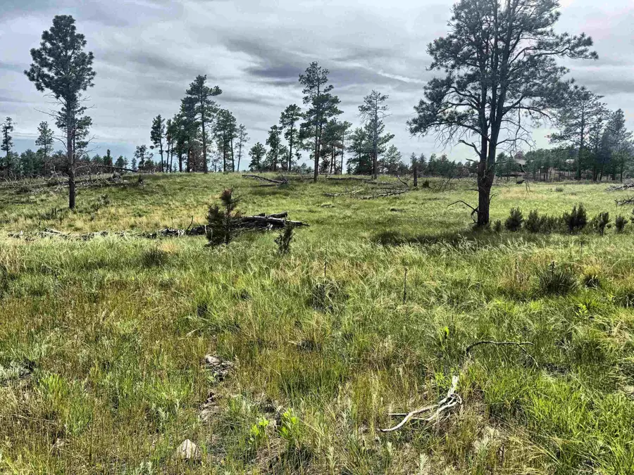 TBD Jenny Road, Hot Springs, SD 57747 - #3