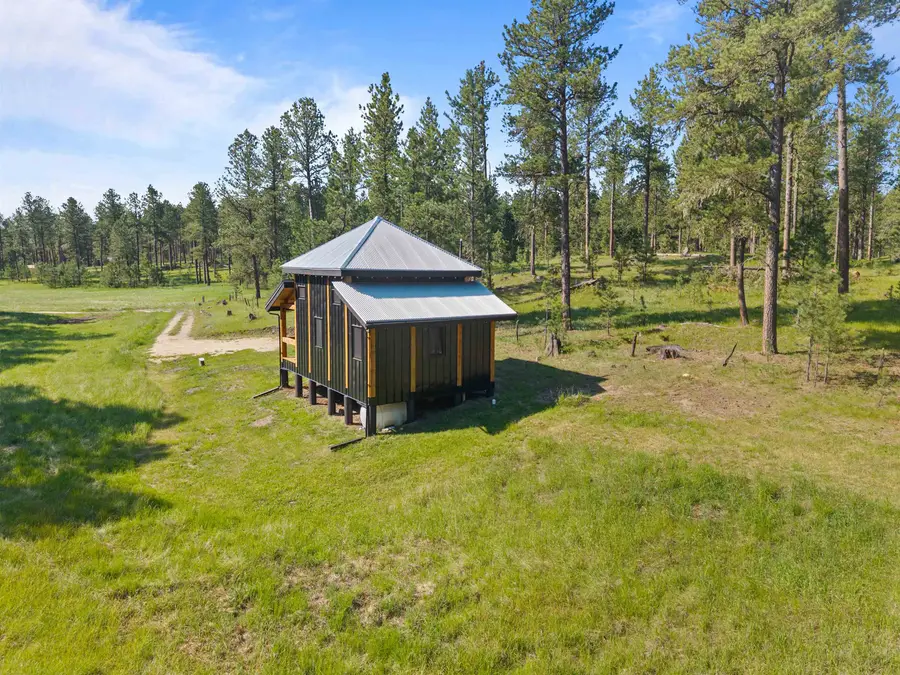 25733 Dakota Sur Drive, Custer, SD 57730 - #3