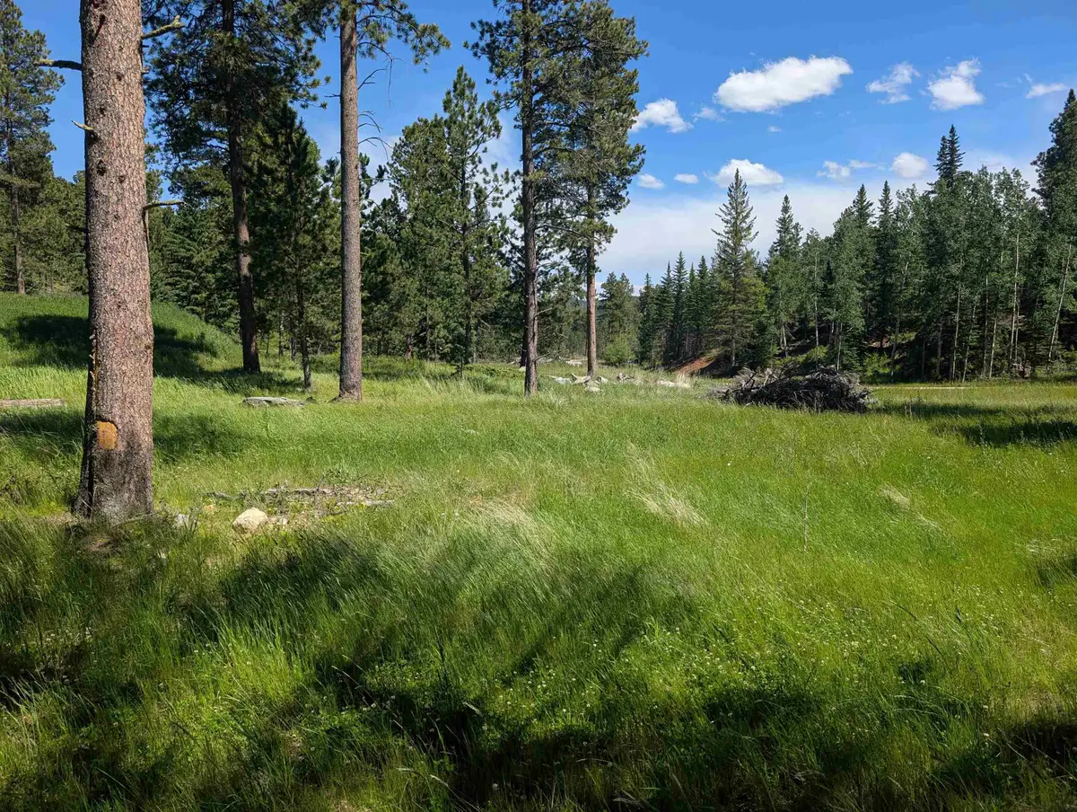 TBD Rochford Road, Lead, SD 57754 - #1