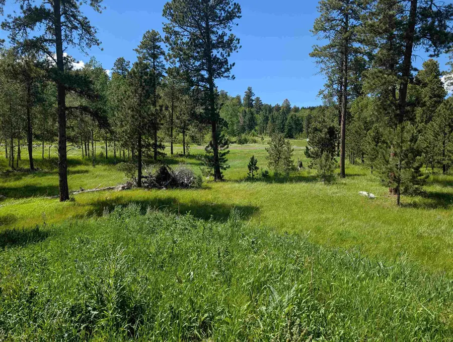 TBD Rochford Road, Lead, SD 57754 - #2