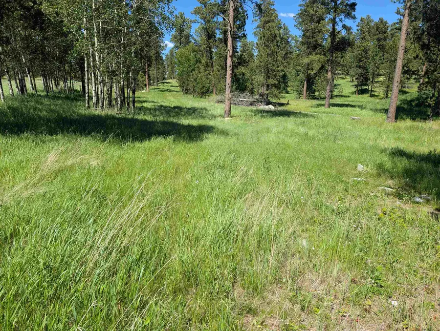 TBD Rochford Road, Lead, SD 57754 - #3