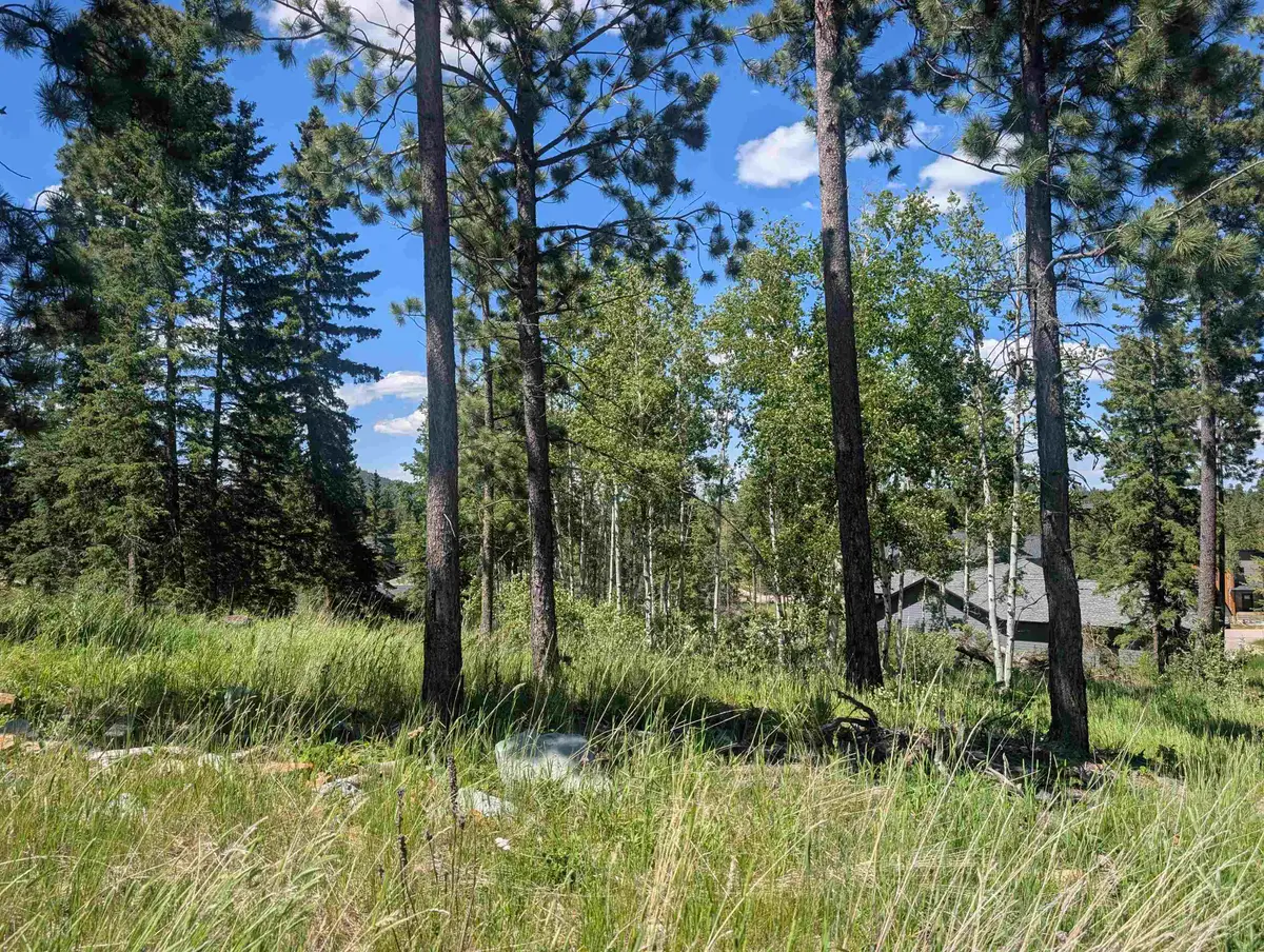 Lot 22 Overlook Pass, Lead, SD 57754 - #1