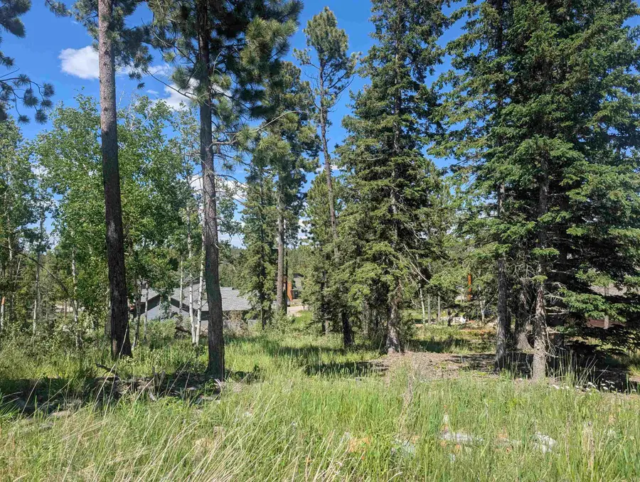 Lot 22 Overlook Pass, Lead, SD 57754 - #2