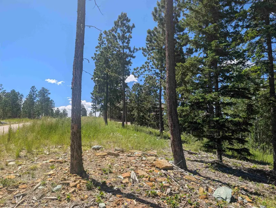 Lot 22 Overlook Pass, Lead, SD 57754 - #3