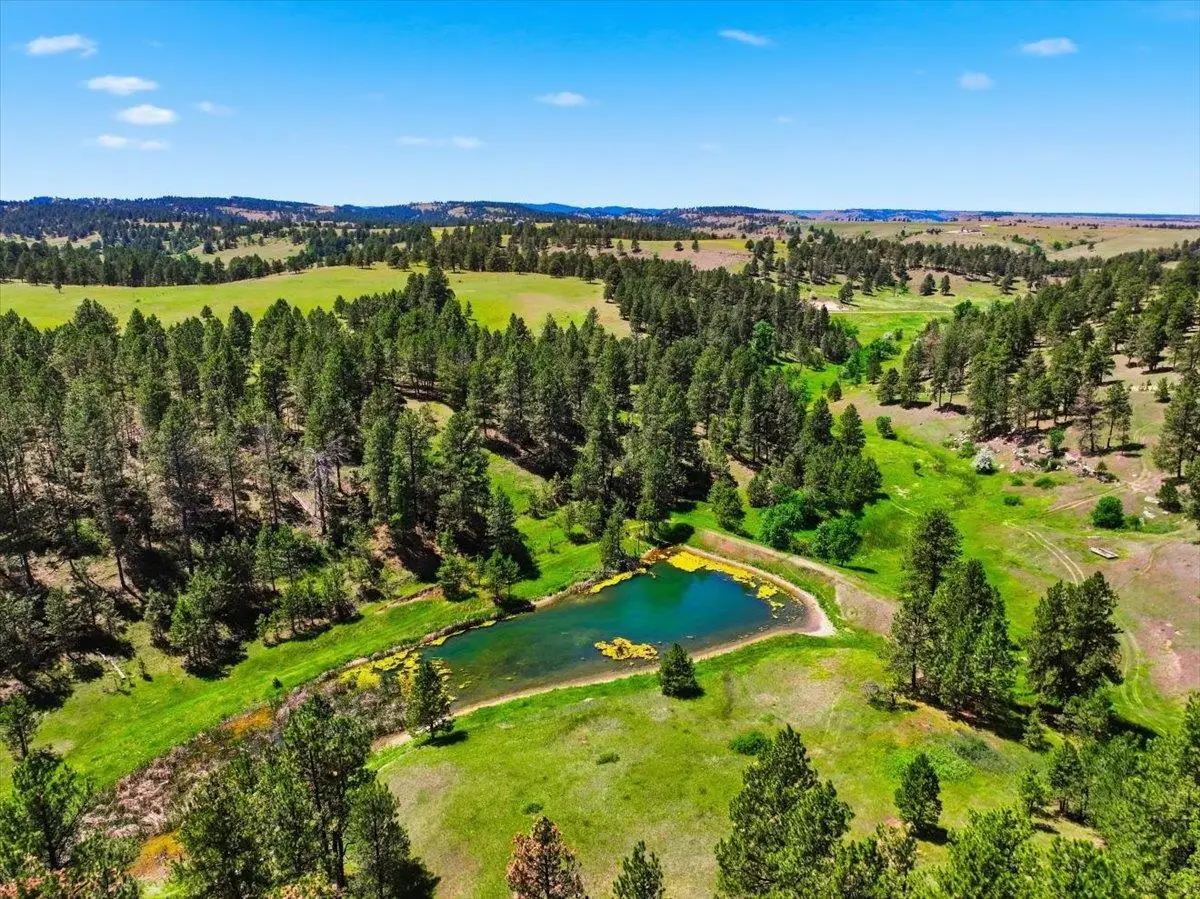 19202 Bbcr Road, Belle Fourche, SD 57717 - #1