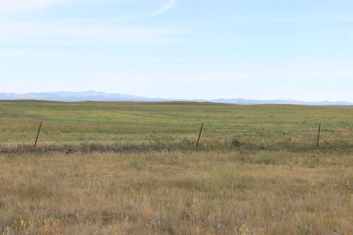 TBD Spring Creek Cutoff, Hermosa, SD 57744 - #1