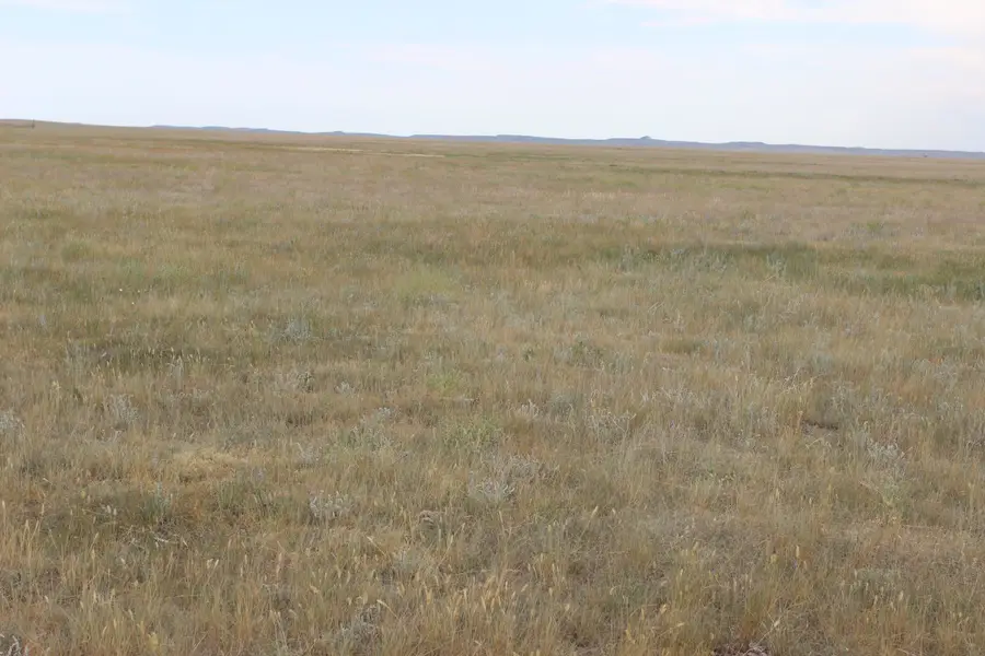 TBD Spring Creek Cutoff, Hermosa, SD 57744 - #3