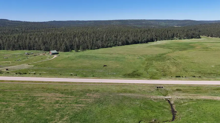 Lot R-2C1 Highway 385, Deadwood, SD 57732 - #2