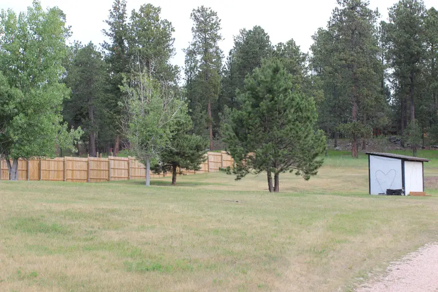 TBD Homestead Drive, Custer, SD 57730 - #2