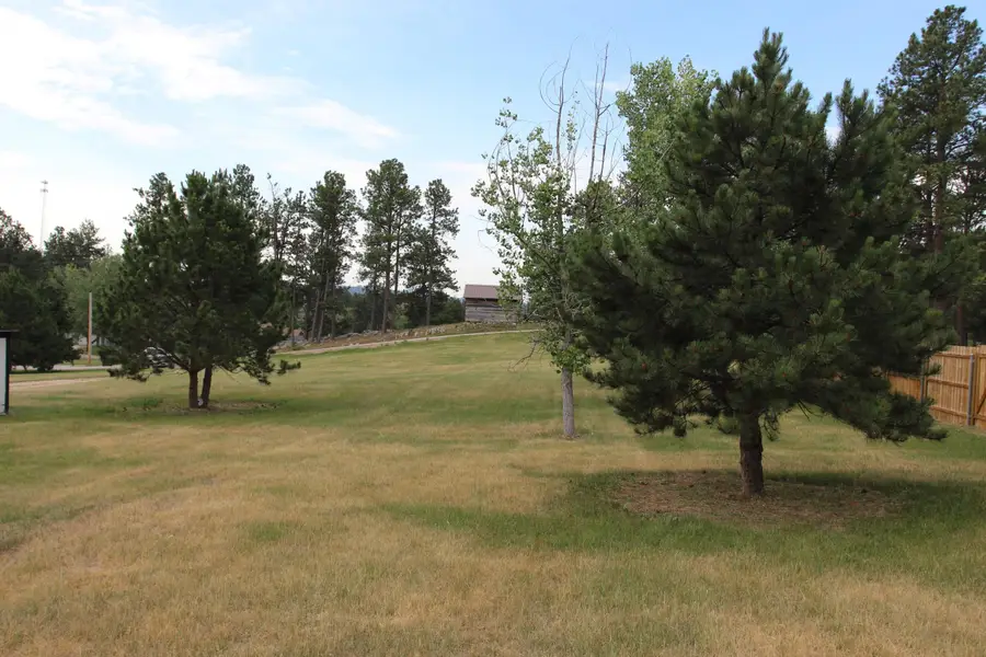 TBD Homestead Drive, Custer, SD 57730 - #3