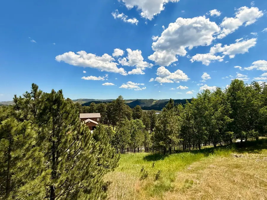 206 Tower Ridge Drive, Lead, SD 57754 - #3