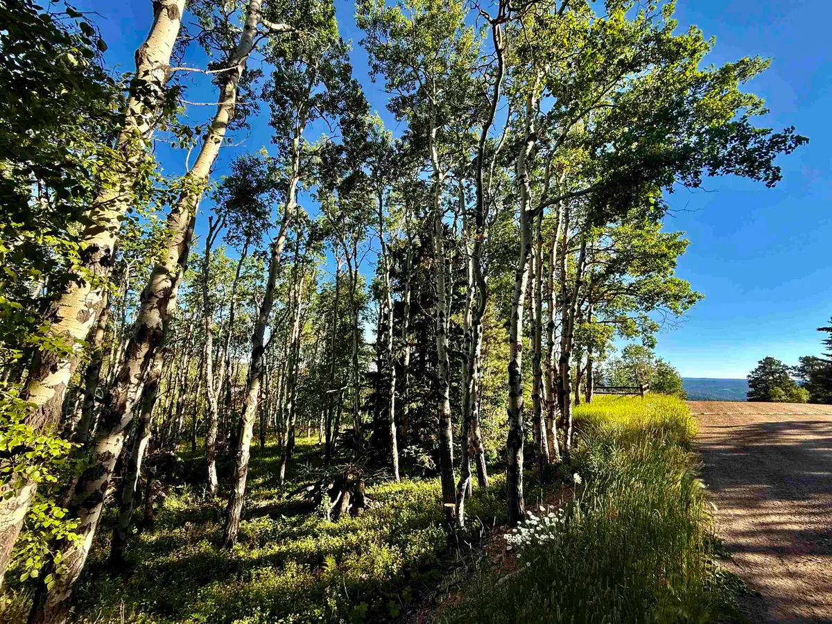 Lot 2 BLK1 TR C Last Chance Trail, Lead, SD 57754 - #1
