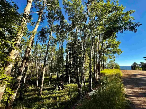 Lot 2 BLK1 TR C Last Chance Trail, Lead, SD 57754