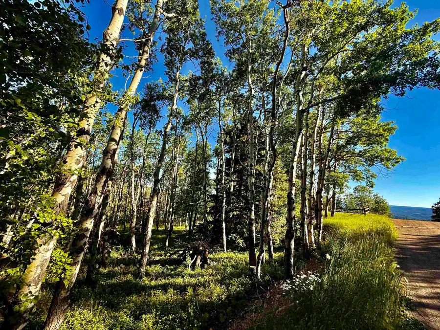 Lot 2 BLK1 TR C Last Chance Trail, Lead, SD 57754 - #2