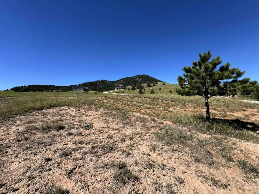 TBD S 11th Street, Sundance, WY 82729 - #3