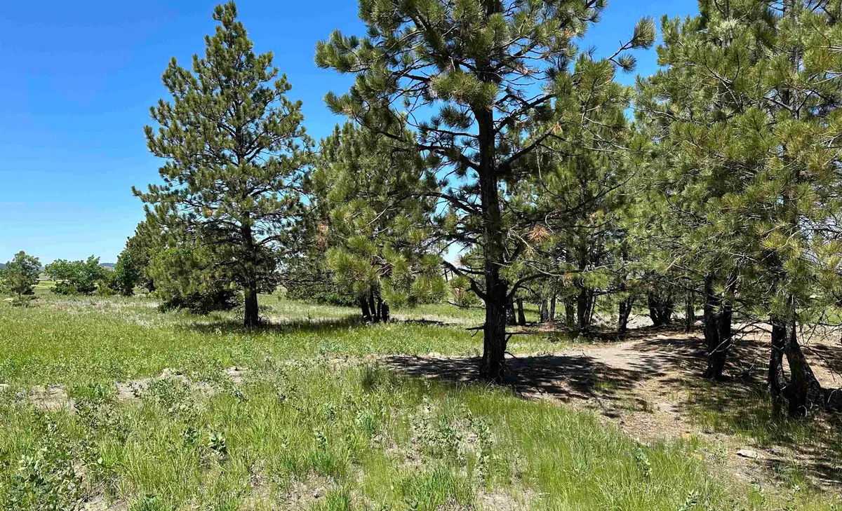 TBD Epic Lane, Sturgis, SD 57785 - #1