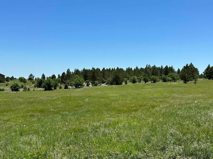 TBD Epic Lane, Sturgis, SD 57785 - #2